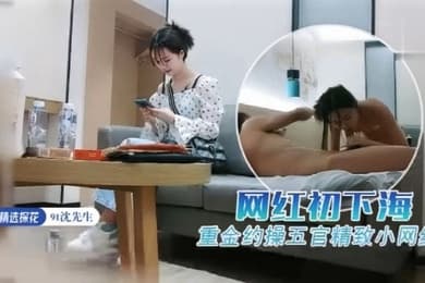 91沈先生重金约操五官精致小网红