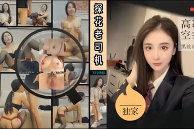 老司机探花飞行体验高冷空乘黑丝求爱