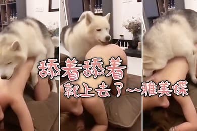舔舔着就上了