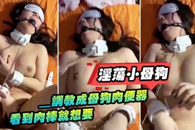 淫荡小母狗_调教成母狗肉便器看到肉棒就想要
