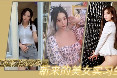 猫先生酒店潜规则公司新来的美女实习生