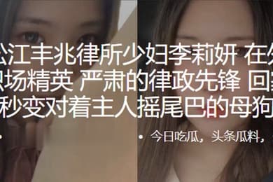 上海松江丰兆律所少妇李莉妍在外是个干练职场精英严肃的律政先锋回家以后秒变对着主人摇尾巴的母狗