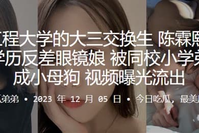 武汉工程大学的大三交换生陈霖熙又一个高学历反差眼镜娘被同校小学弟调教成小母狗视频曝光流出