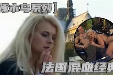 啄木鸟系列法国混血经典
