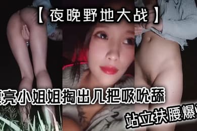夜晚野地大战漂亮小姐姐掏出几把吸吮舔站立扶腰爆草抬腿特写抽插全力冲刺猛干