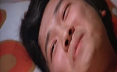 拈花惹草