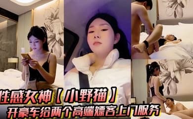 性感女神【小野猫】开豪车给两个高端嫖客上门服务猥琐大叔喜欢玩SM帅哥还算正常吹箫热身啪啪
