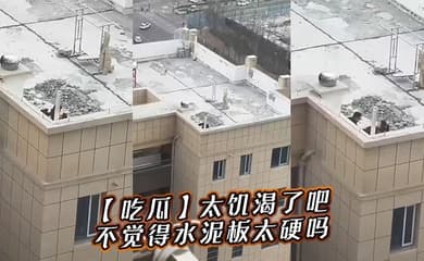 【吃瓜】太饥渴了吧，不觉得水泥板太硬吗