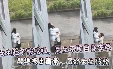女生肚子被蛇咬，男生不顾自身安危  替她吸出毒素，最终女生被救