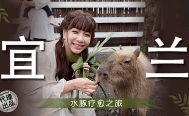 【吴梦梦】MM078 宜兰水豚疗愈之旅