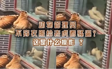 动物管理员不穿衣服给老虎看骚逼这是什么操作