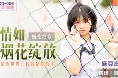 林晚琬情如烟花绽放_情欲世界我就是你的王