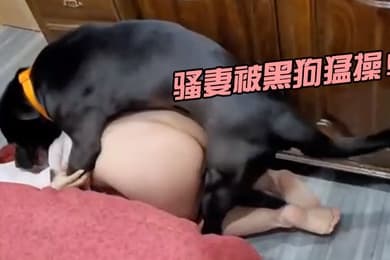 骚妻被黑狗猛操