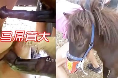 马屌真大